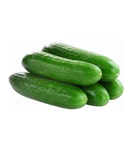 Gök önüm hyyar
