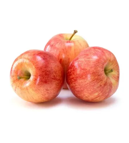 Gök önüm "Alma" Gyzyl (ýerli) kg